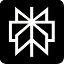 Perplexity brand mark