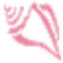 Pink Shell Beach Resort & Marina site icon
